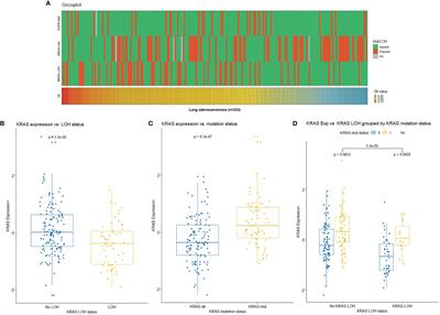 Prognostic Significance of the Loss of Heterozygosity of KRAS in Early-Stage Lung Adenocarcinoma